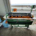柑橘を洗うための洗浄機を導入しました！