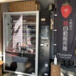 宮崎初‼️苺の自動販売機🍓