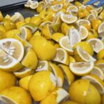 豊作がくれた出会い🍊