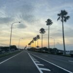 結果だけを見ない。