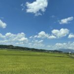 三十数年ぶりの父の故郷へ