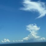 台風一過だぁー‼️