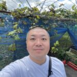 母の実家はぶどう園🍇