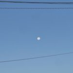 ピン子の言葉が沁みた夜