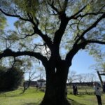 台湾が神声明を発表🎙️ ひょっとこ堂もそうでありたいです。