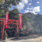 初詣どこにいきますか⁉️