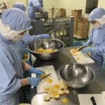 太陽フレアはこれから増える？ひょっとこ堂が太陽フレアを恐れるわけ。