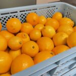 ２０２６年ひょっとこ堂　始動❗️