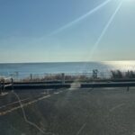 宮崎の冬が大好きです😊