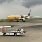 飛行機は何年活躍しますか⁉️