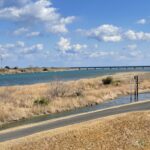 国会議員みなさんのメンタルに尊敬します。