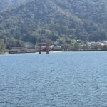 本日はレディースデー