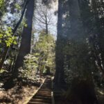 祝日も稼働します🫡