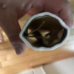 コロコロを洗濯してみた🏝️