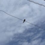 地震大丈夫ですか？