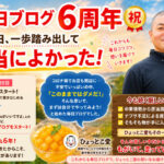 毎日ブログ６周年㊗️ あの日、一歩踏み出して本当によかった！