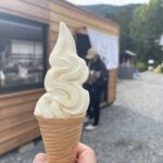 今日はアイスの日🍨
