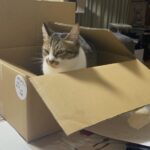 配送が遅れます。