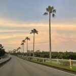 明日は我が身