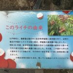 宮崎空港にフルーツが育っているって知ってますか？