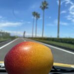 ご来店ありがとうございます🙇‍♂️
