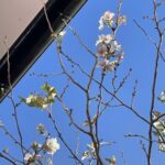 「秋分の日」ってなんの日か知っていますか？